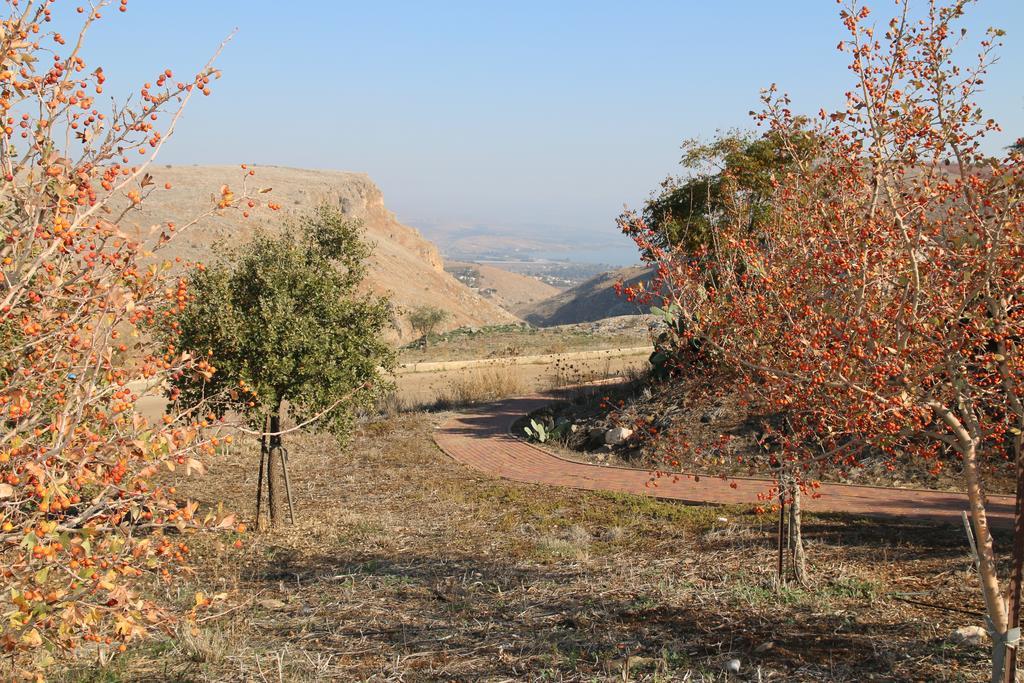 Switzerland In The Arbel Guest House Ngoại thất bức ảnh